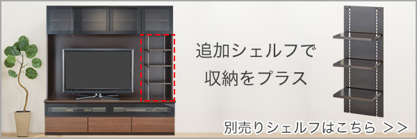 シュレム2別売りシェルフ